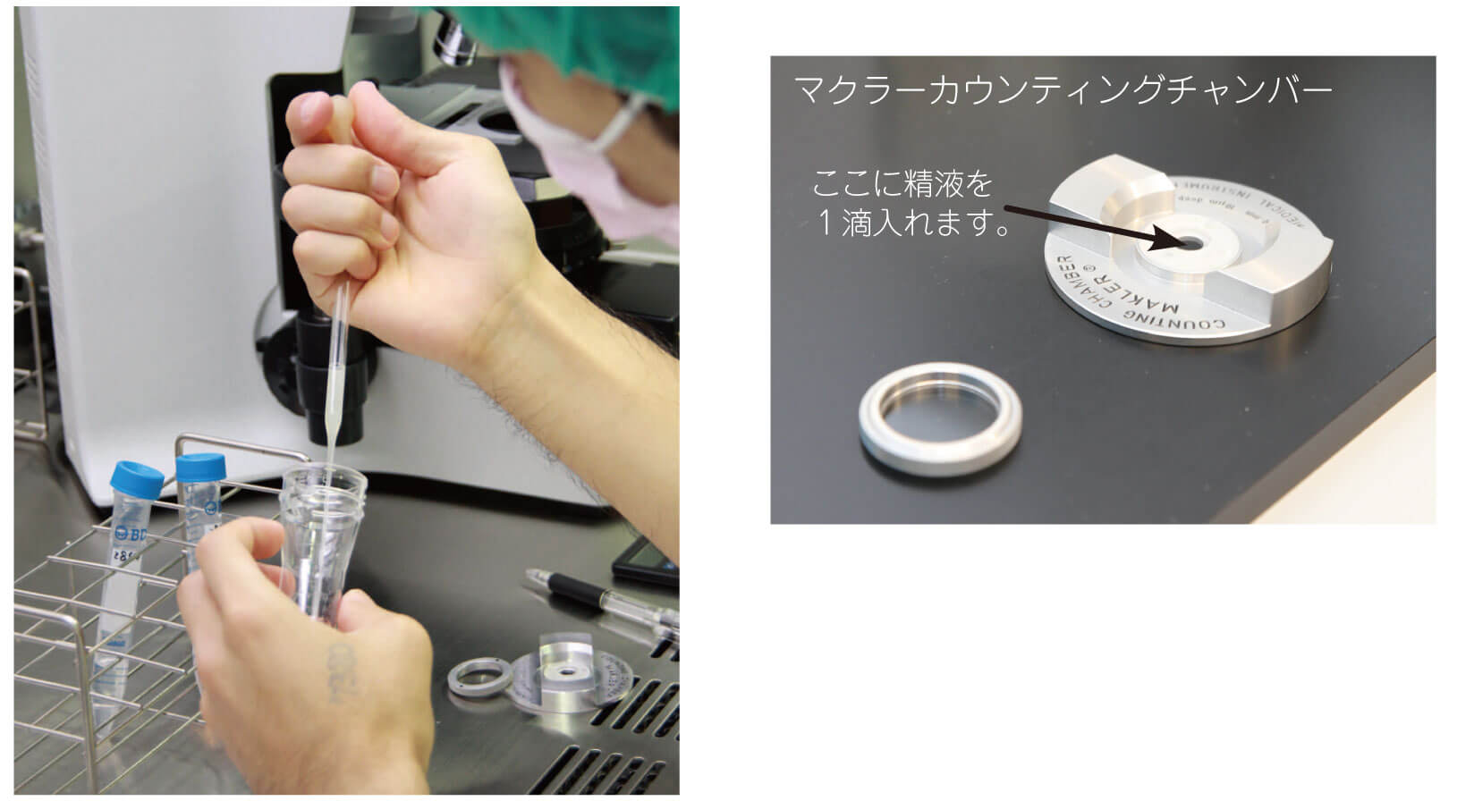 ❤楽天モバイル❤ マクラー精子カウントチャンバー 検鏡面サイズφ6mm 家具、インテリア